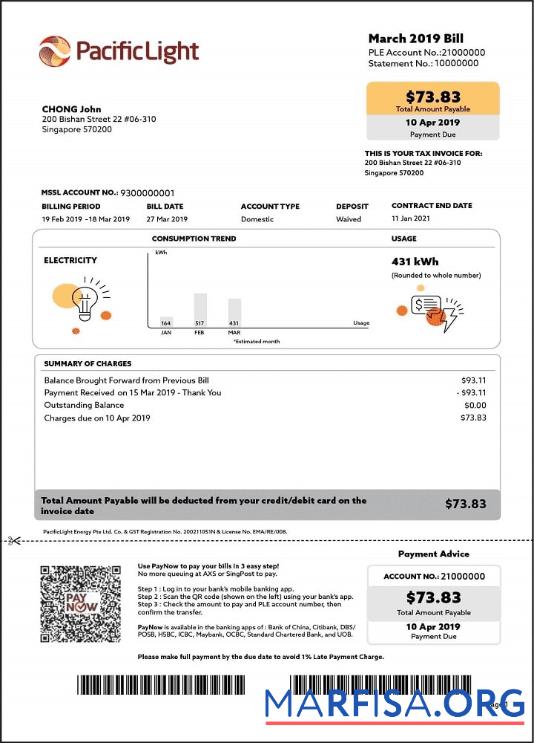 Printable Singapore Pacific Light electricity utility bill template in Word and PDF format